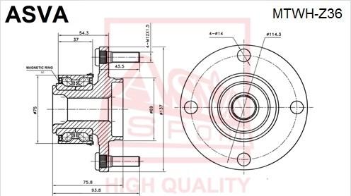 ASVA MTWH-Z36 - Mozzo ruota autozon.pro