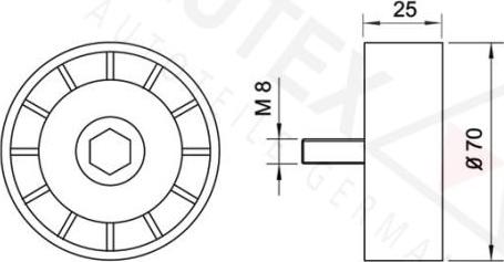 Autex 641369 - Galoppino / Guidacinghia, Cinghia Poly-V autozon.pro