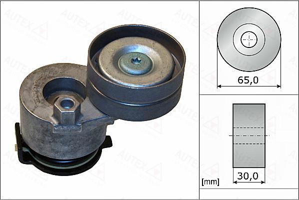 Autex 655118 - Tendicinghia, Cinghia Poly-V autozon.pro