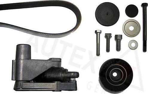 Autex 702655 - Kit Cinghie Poly-V autozon.pro