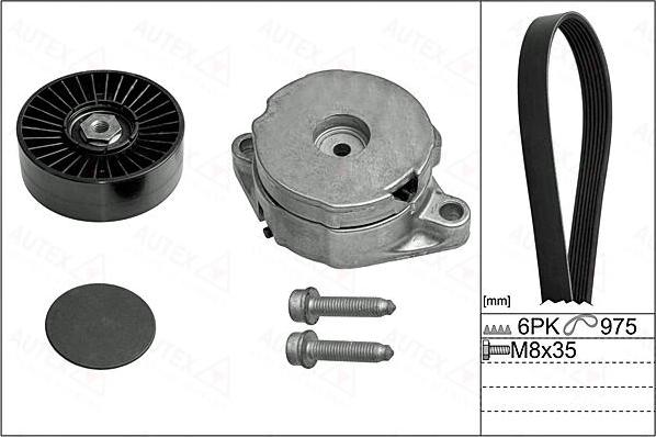 Autex 702895 - Kit Cinghie Poly-V autozon.pro