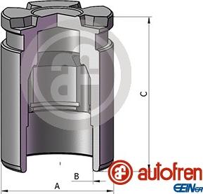 AUTOFREN SEINSA D025542 - Pistone, Pinza freno autozon.pro