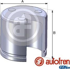 AUTOFREN SEINSA D02551 - Pistone, Pinza freno autozon.pro