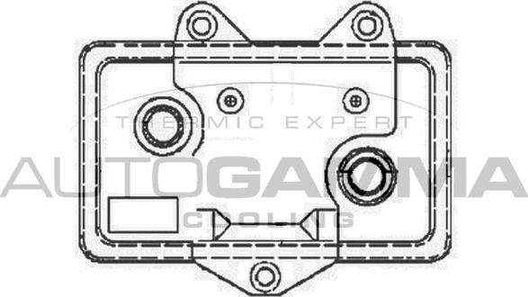 Autogamma 104631 - Radiatore olio, Olio motore autozon.pro