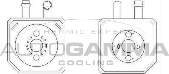 Autogamma 105847 - Radiatore olio, Olio motore autozon.pro