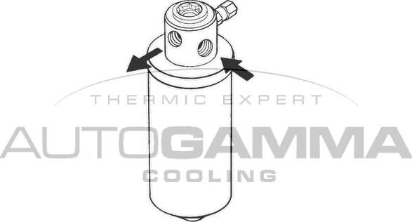 Autogamma 106136 - Essiccatore, Climatizzatore autozon.pro