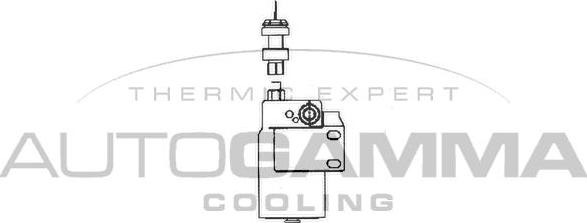 Autogamma 106345 - Essiccatore, Climatizzatore autozon.pro