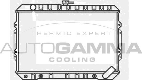 Autogamma 100594 - Radiatore, Raffreddamento motore autozon.pro
