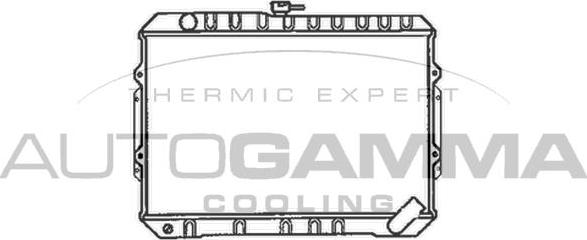 Autogamma 100595 - Radiatore, Raffreddamento motore autozon.pro