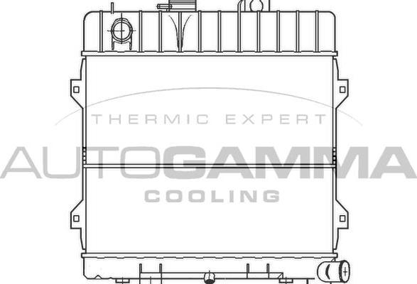 Autogamma 100091 - Radiatore, Raffreddamento motore autozon.pro