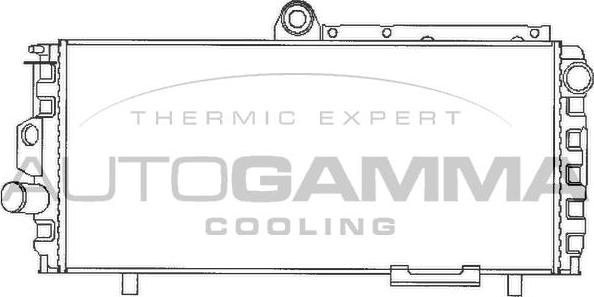 Autogamma 100001 - Radiatore, Raffreddamento motore autozon.pro