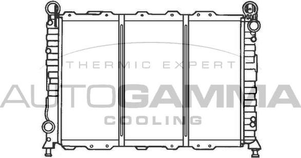 Autogamma 100011 - Radiatore, Raffreddamento motore autozon.pro