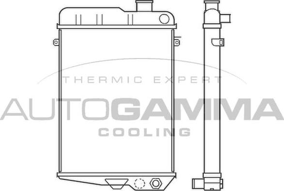 Autogamma 100039 - Radiatore, Raffreddamento motore autozon.pro