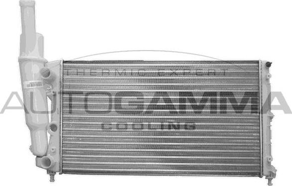 Autogamma 100294 - Radiatore, Raffreddamento motore autozon.pro