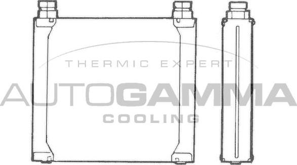 Autogamma 101545 - Radiatore olio, Olio motore autozon.pro