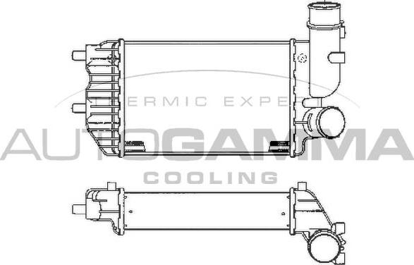 Autogamma 101888 - Intercooler autozon.pro