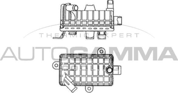 Autogamma 102012 - Radiatore olio, Olio motore autozon.pro
