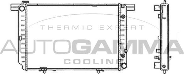 Autogamma 102159 - Radiatore, Raffreddamento motore autozon.pro