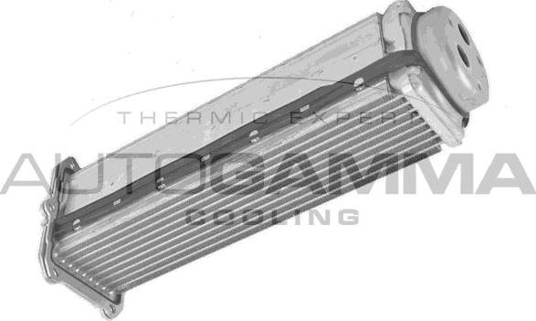 Autogamma 107924 - Intercooler autozon.pro