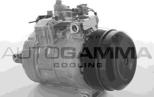 Autogamma 118602 - Compressore, Climatizzatore autozon.pro