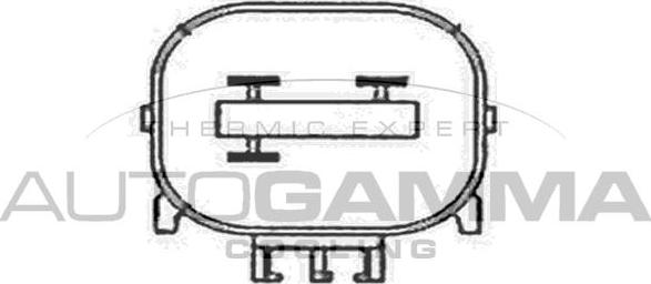 Autogamma GA200853 - Ventola, Raffreddamento motore autozon.pro