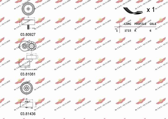 Autokit 06.0119 - Kit Cinghie Poly-V autozon.pro