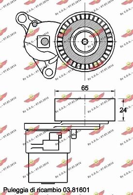 Autokit 03.81828 - Tendicinghia, Cinghia Poly-V autozon.pro