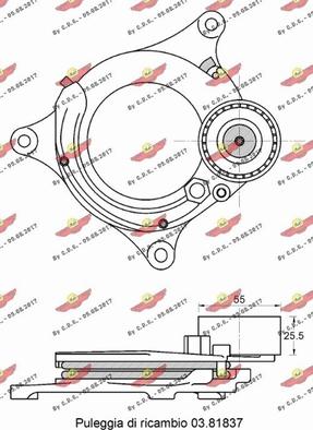 Autokit 03.82075 - Tendicinghia, Cinghia Poly-V autozon.pro