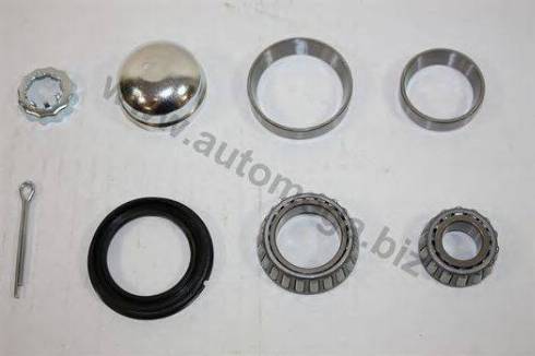 Automega 305980625191 - Kit cuscinetto ruota autozon.pro