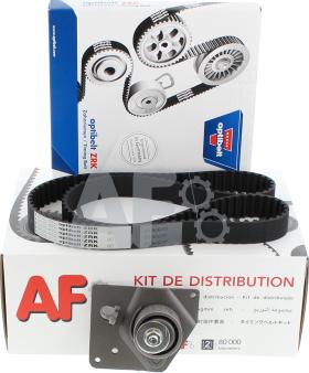 Automotor France PTK7048 - Kit cinghie dentate autozon.pro