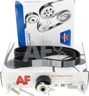 Automotor France PTK7028 - Kit cinghie dentate autozon.pro