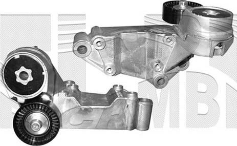 Autoteam A05424 - Tendicinghia, Cinghia Poly-V autozon.pro