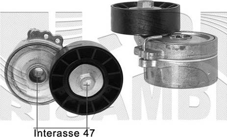 Autoteam A05032 - Tendicinghia, Cinghia Poly-V autozon.pro