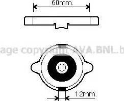 Ava Quality Cooling 980015 - Tappo, radiatore autozon.pro