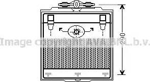 Ava Quality Cooling BW 3400 - Radiatore olio, Olio motore autozon.pro