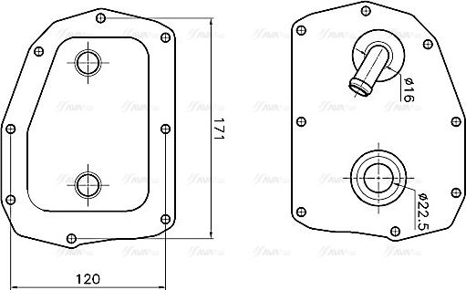 Ava Quality Cooling MS3781 - Radiatore olio, Olio motore autozon.pro