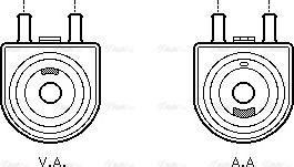 Ava Quality Cooling PE 3285 - Radiatore olio, Olio motore autozon.pro