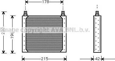 Ava Quality Cooling RT 3146 - Radiatore olio, Olio motore autozon.pro