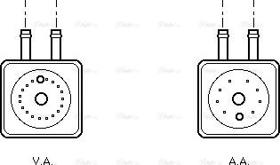 Ava Quality Cooling VN3148 - Radiatore olio, Olio motore autozon.pro