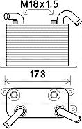 Ava Quality Cooling VN3310 - Radiatore olio, Cambio automatico autozon.pro