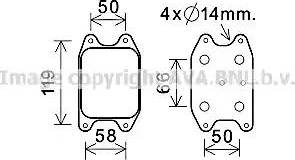 Ava Quality Cooling VW3394 - Radiatore olio, Olio motore autozon.pro