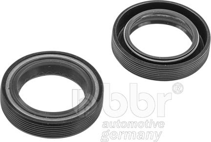 BBR Automotive 002-30-00481 - Paraolio, Albero a camme autozon.pro