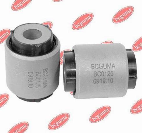 Bcguma BC0125 - Supporto, Braccio oscillante autozon.pro