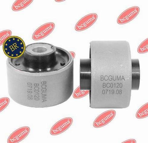 Bcguma BC0120 - Supporto, Braccio oscillante autozon.pro