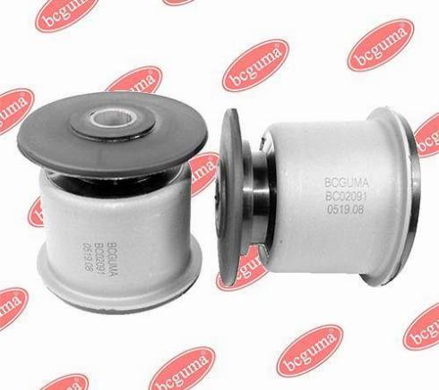 Bcguma BC02091 - Supporto, Braccio oscillante autozon.pro