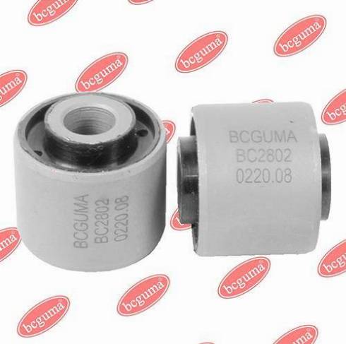 Bcguma BC2802 - Supporto, Braccio oscillante autozon.pro