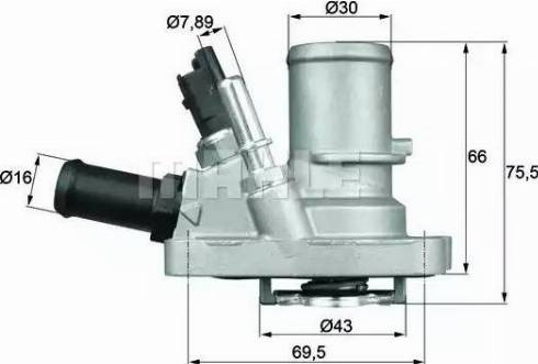 BEHR TI 144 88 - Termostato, Refrigerante autozon.pro