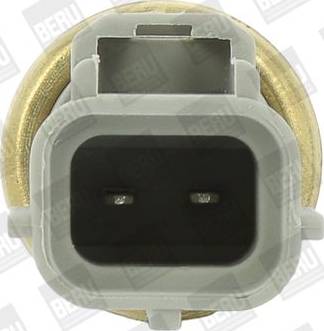 BorgWarner (BERU) ST240 - Sensore, Temperatura refrigerante autozon.pro