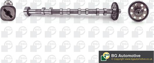 BGA CS0140 - Albero a camme autozon.pro