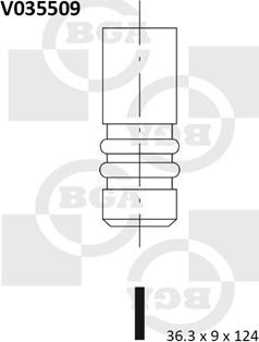 BGA V035509 - Valvola di scarico autozon.pro